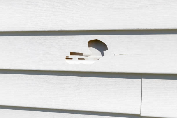 Best Appliance Removal  in North Prairie, WI